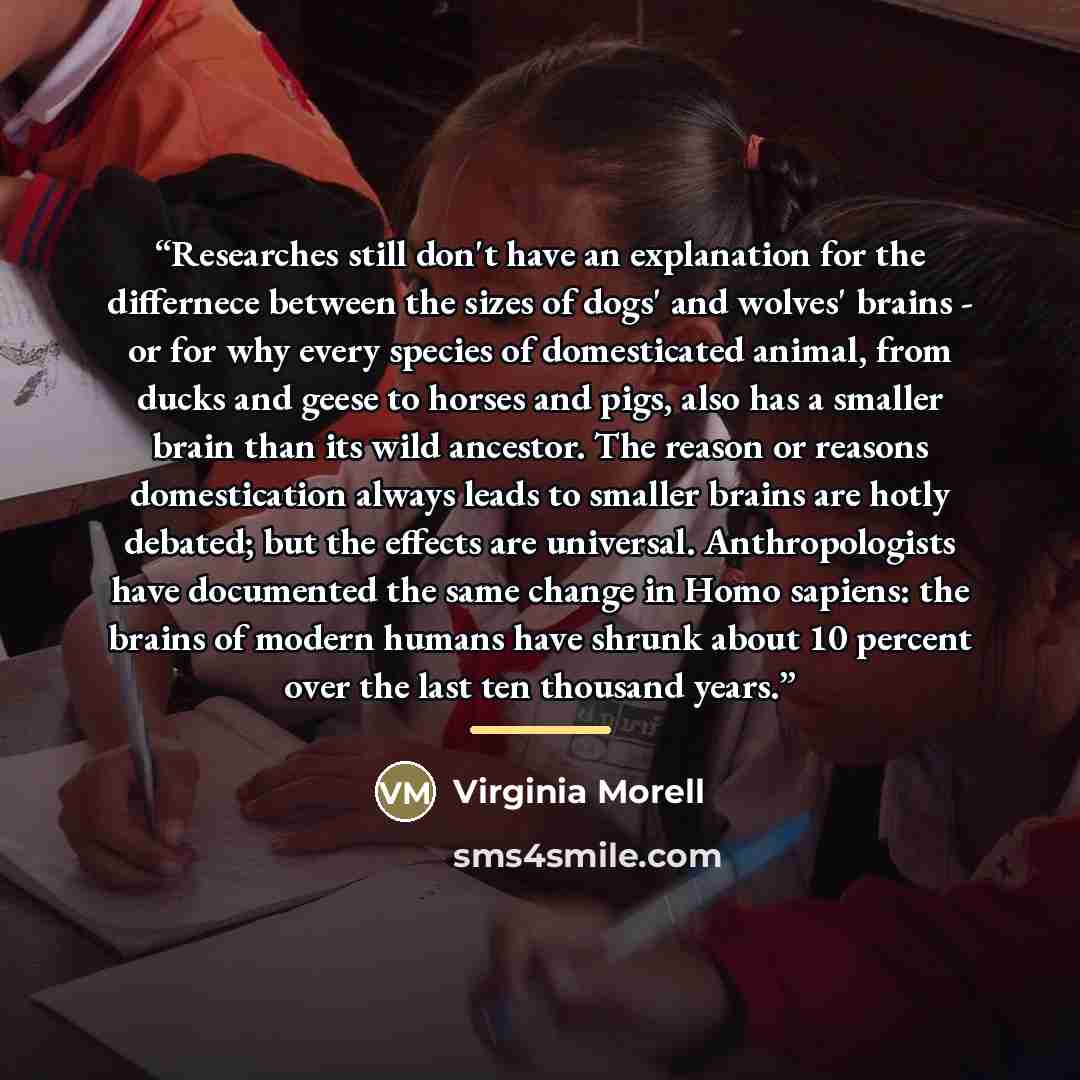 “Researches still don't have an explanation for the differnece between the sizes of dogs' and wolves' brains - or for why every species of domesticated animal, from ducks and geese to horses and pigs, also has a smaller brain than its wild ancestor. The reason or reasons domestication always leads…” quote by Virginia Morell