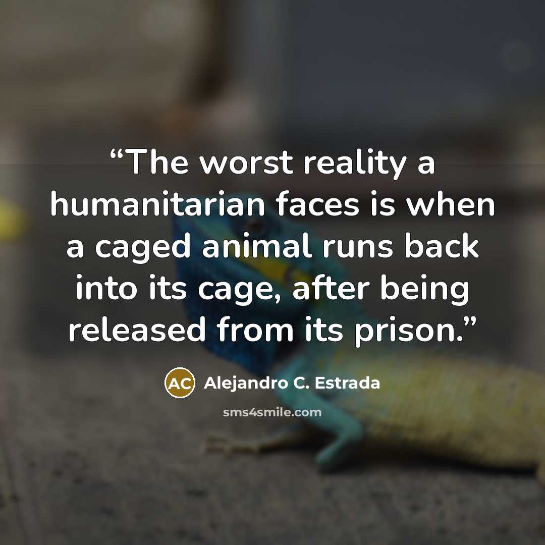 “The worst reality a humanitarian faces is when a caged animal runs back into its cage, after being released from its prison.” quote by Alejandro C. Estrada