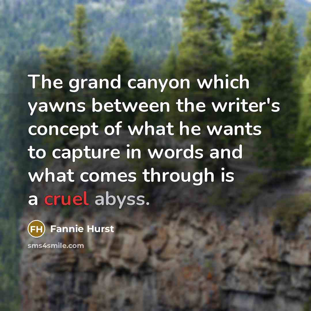 “The grand canyon which yawns between the writer's concept of what he wants to capture in words and what comes through is a cruel abyss.” quote by Fannie Hurst