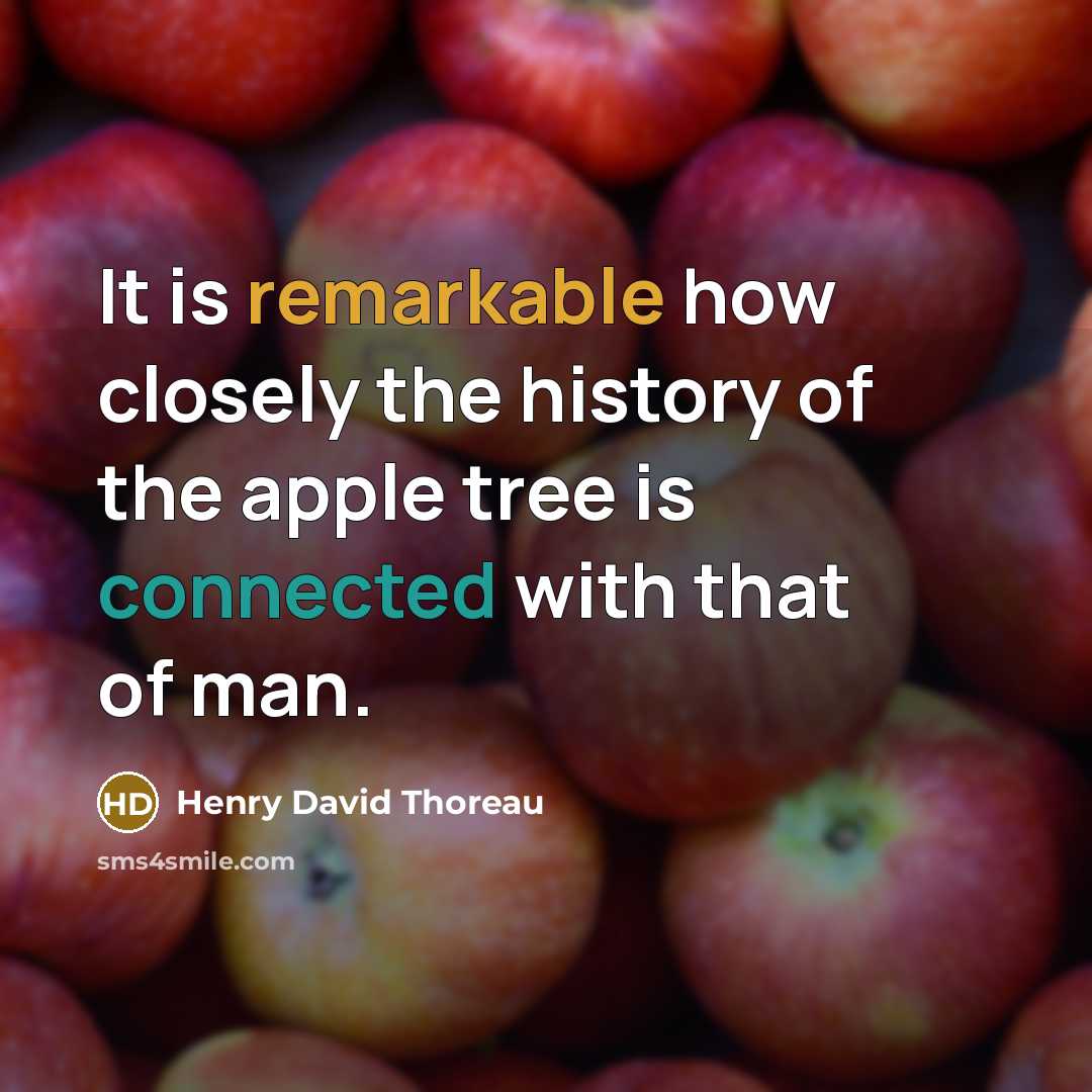 “It is remarkable how closely the history of the apple tree is connected with that of man.” quote by Henry David Thoreau