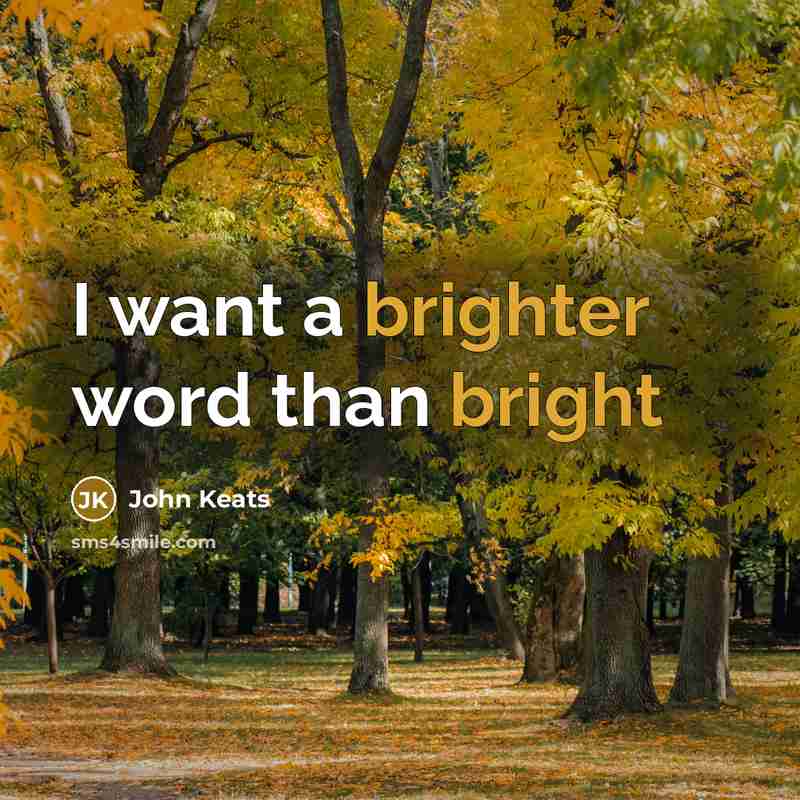 “I want a brighter word than bright” quote by John Keats