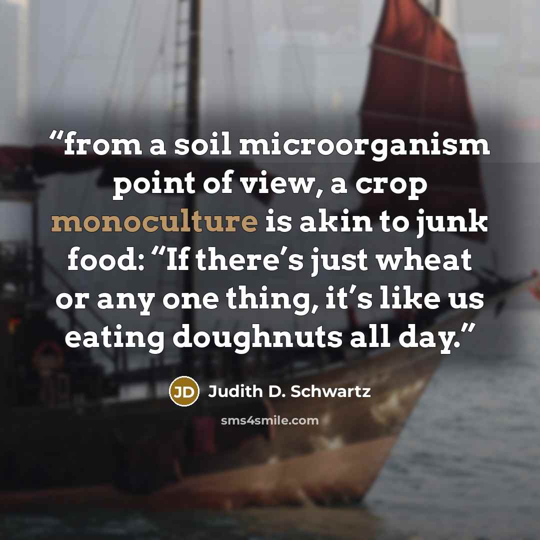 “from a soil microorganism point of view, a crop monoculture is akin to junk food: “If there’s just wheat or any one thing, it’s like us eating doughnuts all day.” quote by Judith D. Schwartz