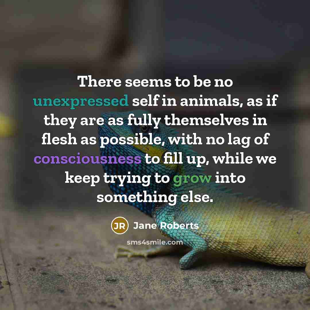 “There seems to be no unexpressed self in animals, as if they are as fully themselves in flesh as possible, with no lag of consciousness to fill up, while we keep trying to grow into something else.” quote by Jane Roberts