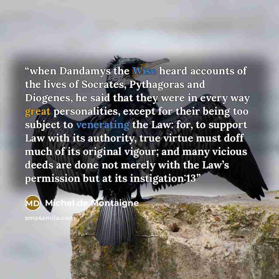 “when Dandamys the Wise heard accounts of the lives of Socrates, Pythagoras and Diogenes, he said that they were in every way great personalities, except for their being too subject to venerating the Law: for, to support Law with its authority, true virtue must doff much of its original vigour; and…” quote by Michel de Montaigne