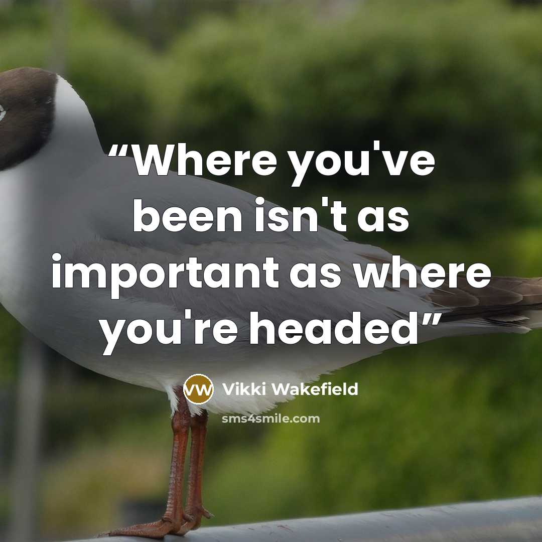 “Where you've been isn't as important as where you're headed” quote by Vikki Wakefield