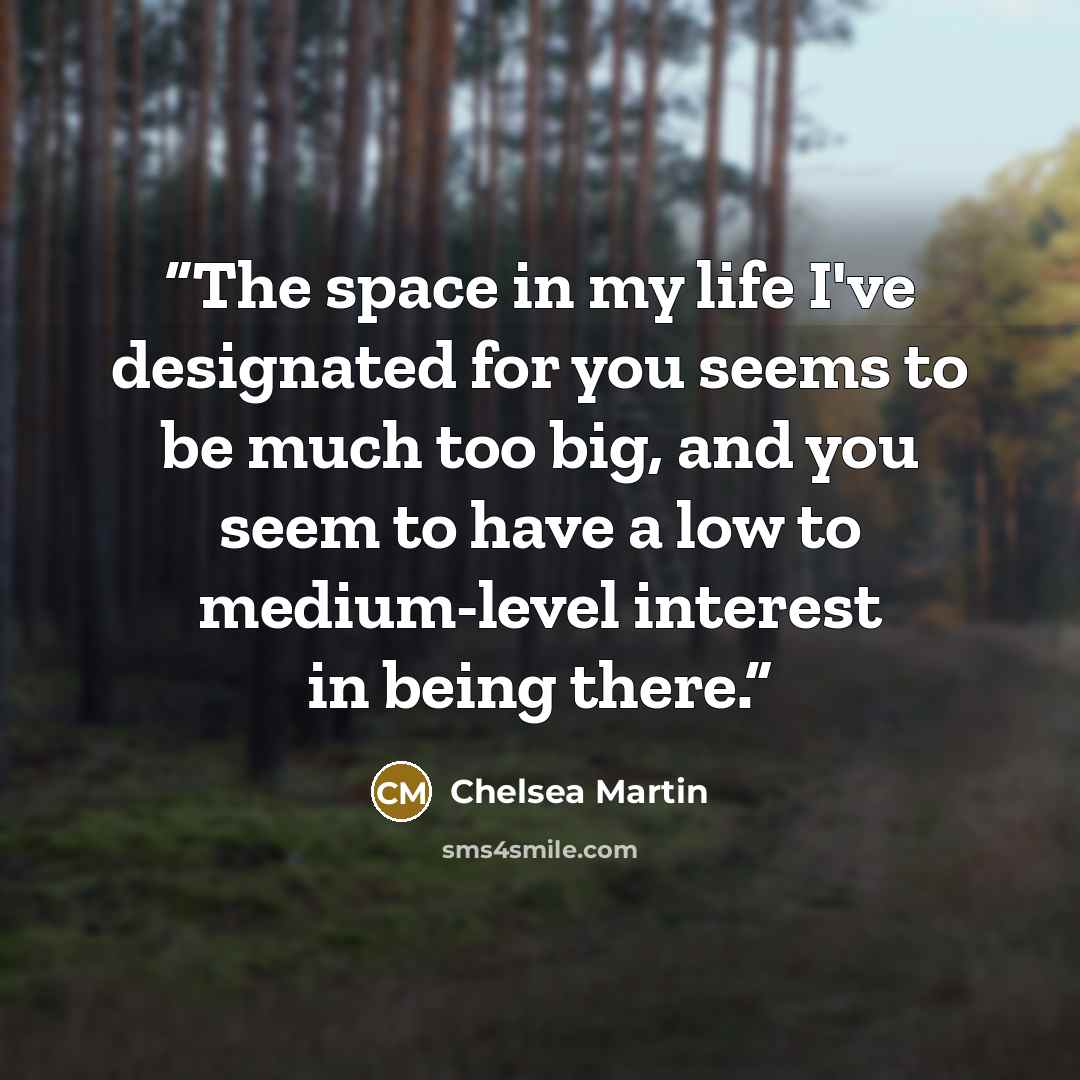 “The space in my life I've designated for you seems to be much too big, and you seem to have a low to medium-level interest in being there.” quote by Chelsea Martin