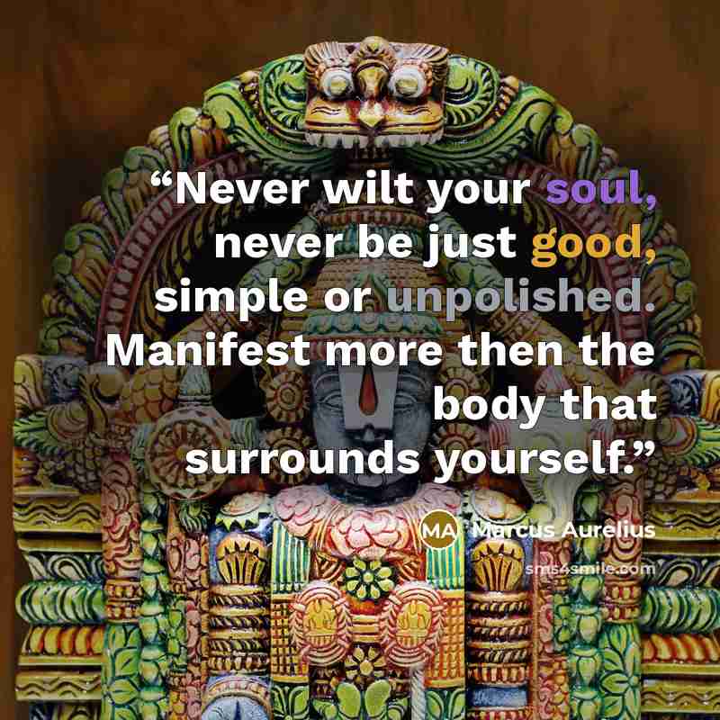 “Never wilt your soul, never be just good, simple or unpolished. Manifest more then the body that surrounds yourself.” quote by Marcus Aurelius