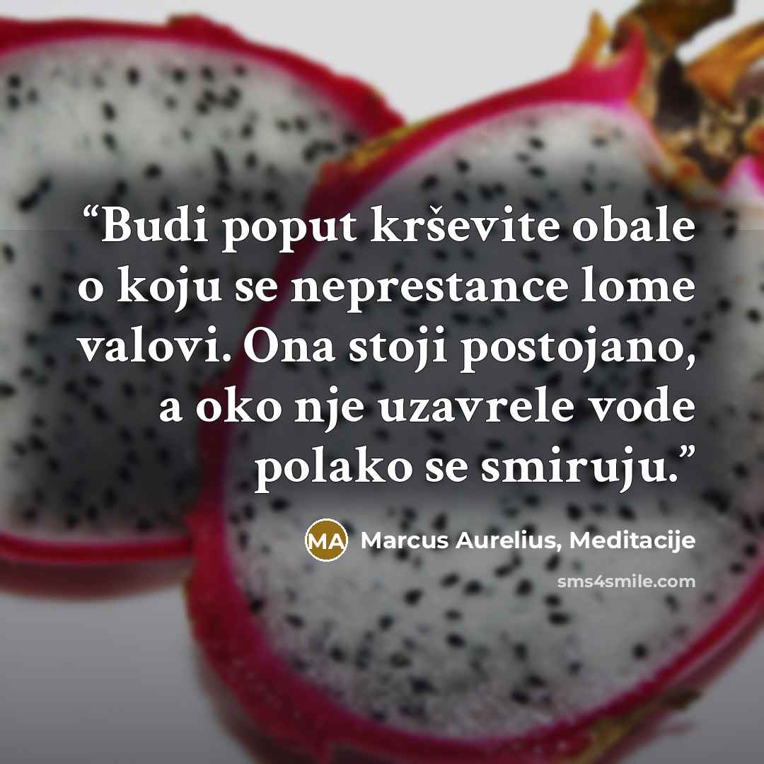 “Budi poput krševite obale o koju se neprestance lome valovi. Ona stoji postojano, a oko nje uzavrele vode polako se smiruju.” quote by Marcus Aurelius, Meditacije
