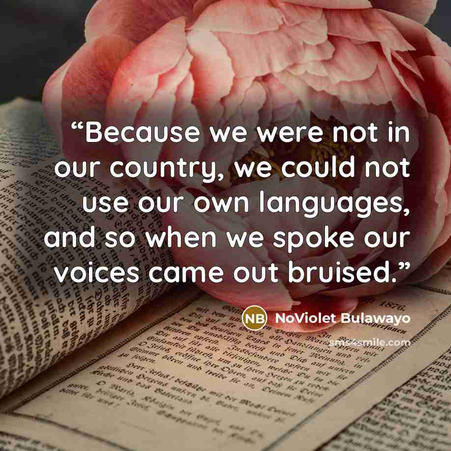“Because we were not in our country, we could not use our own languages, and so when we spoke our voices came out bruised.” quote by NoViolet Bulawayo