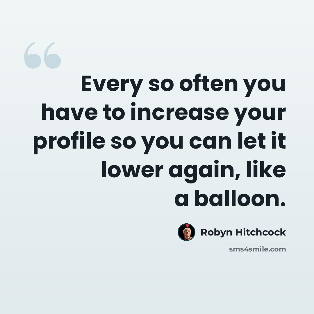 “Every so often you have to increase your profile so you can let it lower again, like a balloon.” quote by Robyn Hitchcock