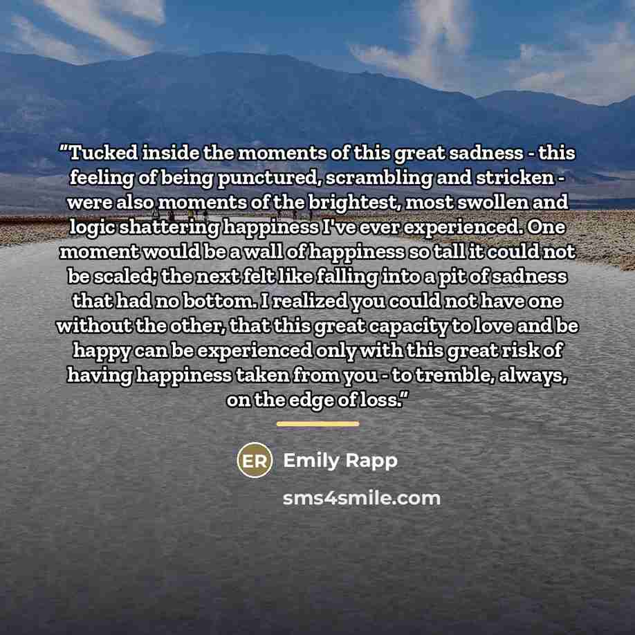 “Tucked inside the moments of this great sadness - this feeling of being punctured, scrambling and stricken - were also moments of the brightest, most swollen and logic shattering happiness I've ever experienced. One moment would be a wall of happiness so tall it could not be scaled; the next felt…” quote by Emily Rapp