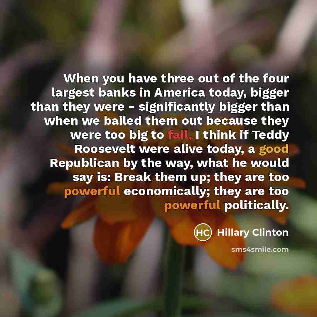 “When you have three out of the four largest banks in America today, bigger than they were - significantly bigger than when we bailed them out because they were too big to fail, I think if Teddy Roosevelt were alive today, a good Republican by the way, what he would say is: Break them up; they are…” quote by Hillary Clinton