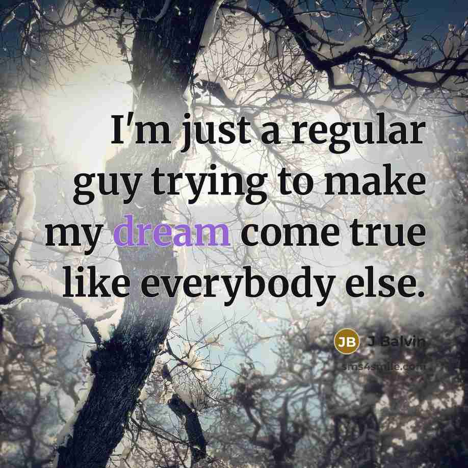“I'm just a regular guy trying to make my dream come true like everybody else.” quote by J Balvin
