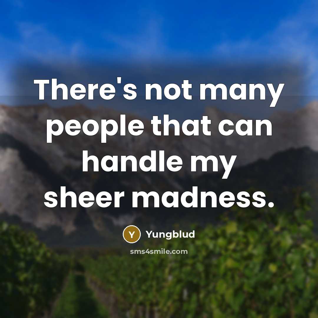 “There's not many people that can handle my sheer madness.” quote by Yungblud