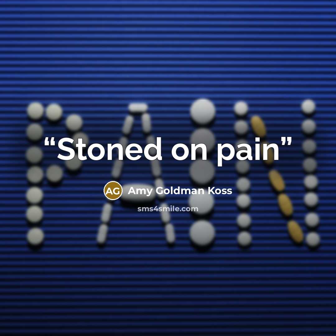 “Stoned on pain” quote by Amy Goldman Koss