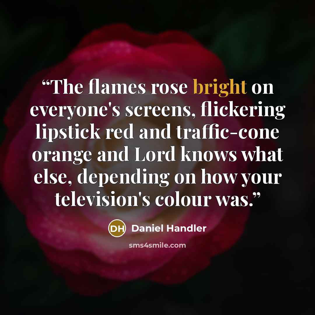 “The flames rose bright on everyone's screens, flickering lipstick red and traffic-cone orange and Lord knows what else, depending on how your television's colour was.” quote by Daniel Handler