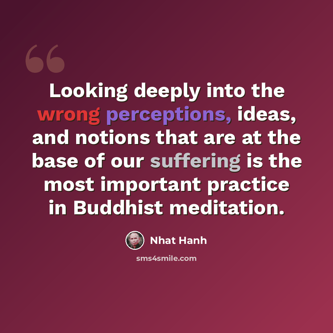 “Looking deeply into the wrong perceptions, ideas, and notions that are at the base of our suffering is the most important practice in Buddhist meditation.” quote by Nhat Hanh