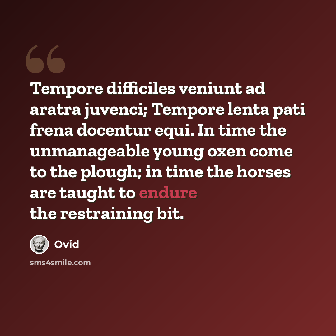 “Tempore difficiles veniunt ad aratra juvenci; Tempore lenta pati frena docentur equi. In time the unmanageable young oxen come to the plough; in time the horses are taught to endure the restraining bit.” quote by Ovid