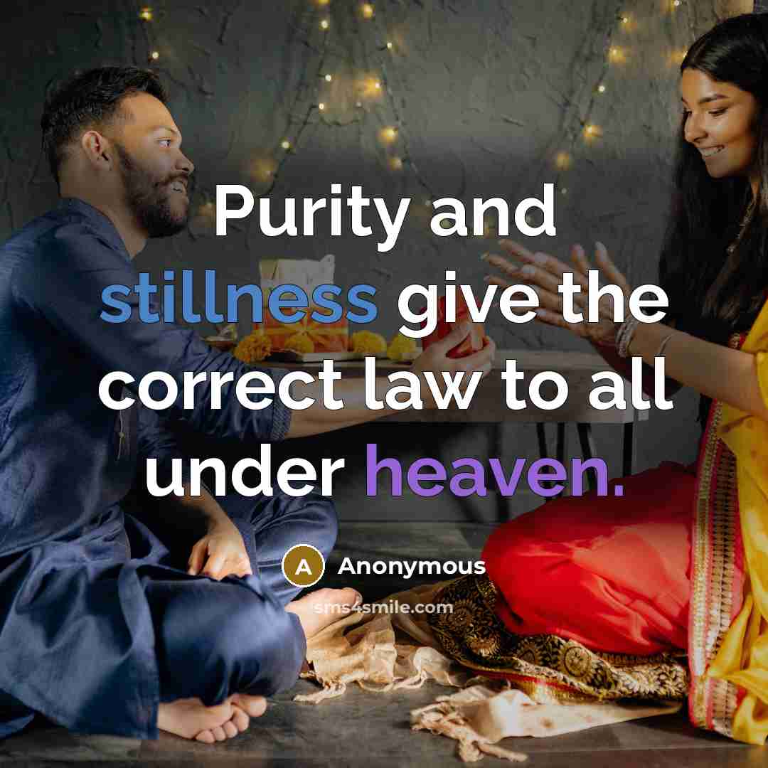 “Purity and stillness give the correct law to all under heaven.” quote by Anonymous