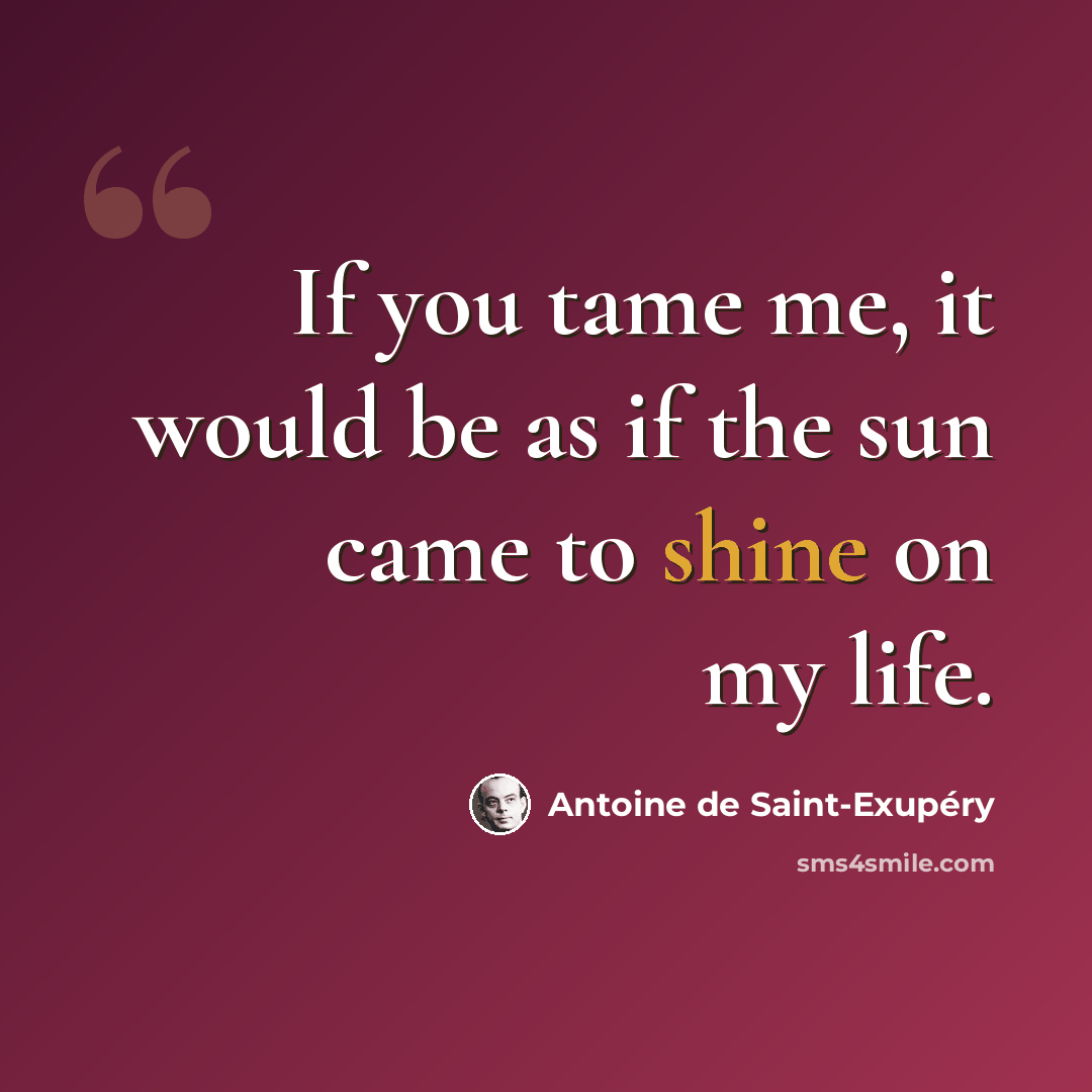 “If you tame me, it would be as if the sun came to shine on my life.” quote by Antoine de Saint-Exupery