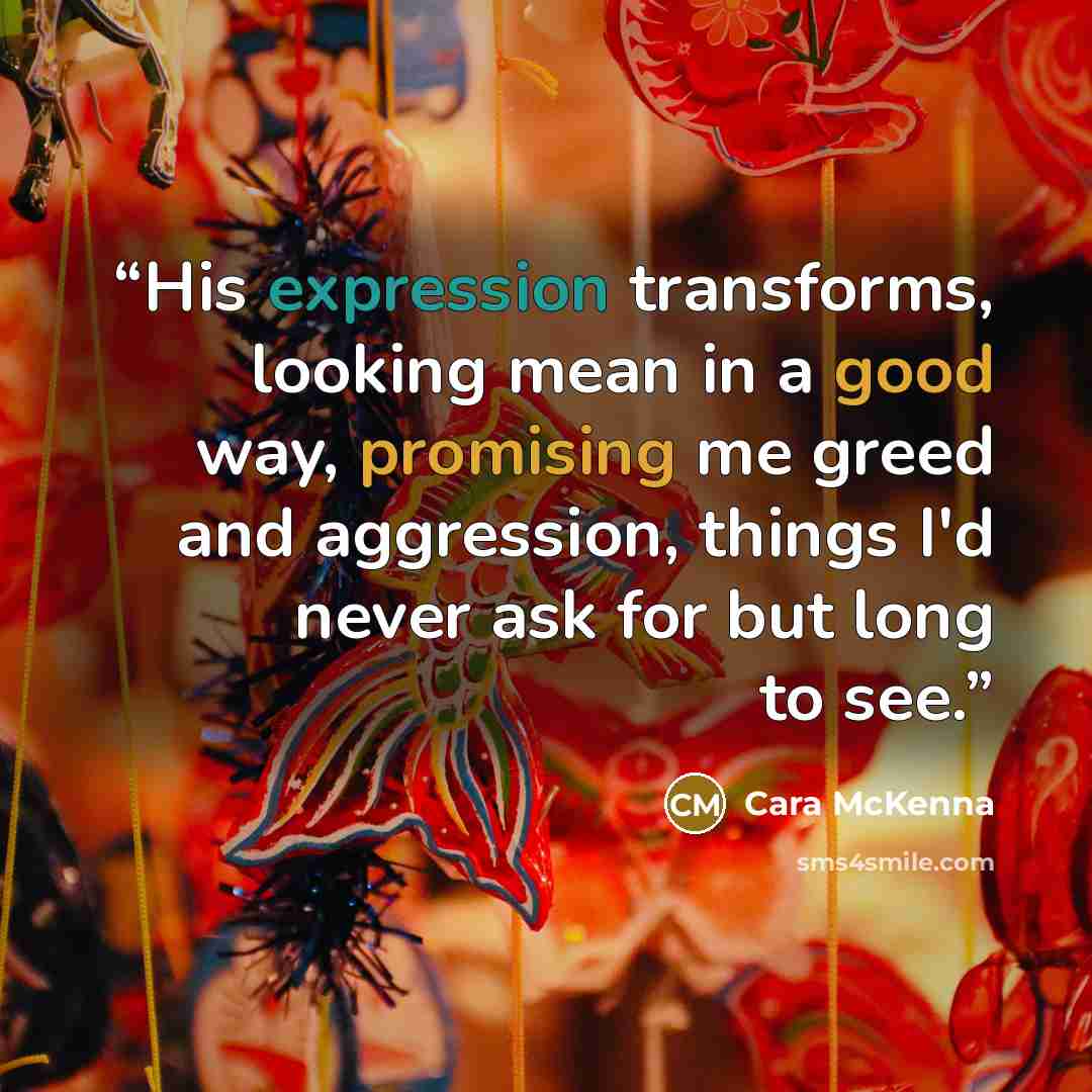 “His expression transforms, looking mean in a good way, promising me greed and aggression, things I'd never ask for but long to see.” quote by Cara McKenna