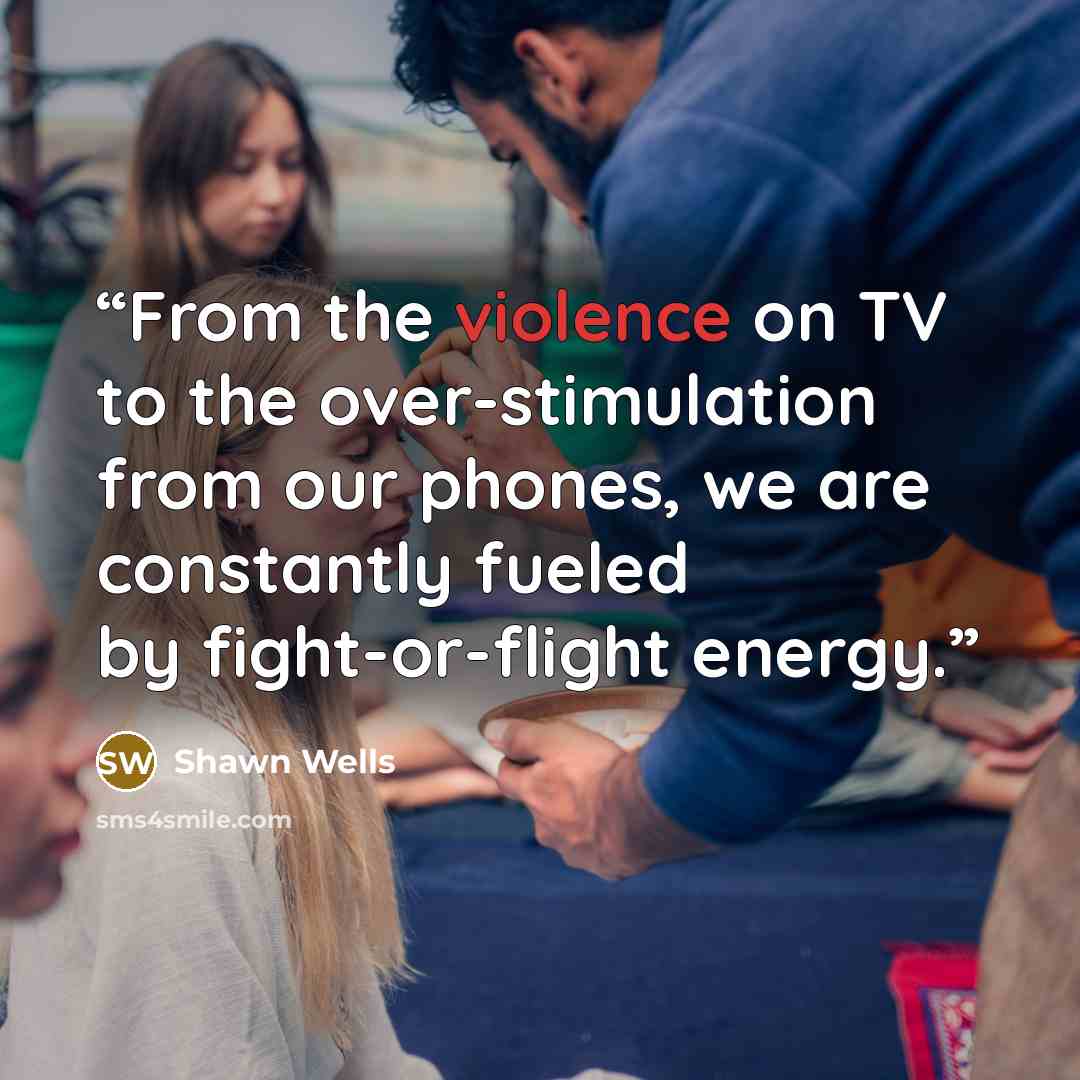 “From the violence on TV to the over-stimulation from our phones, we are constantly fueled by fight-or-flight energy.” quote by Shawn Wells