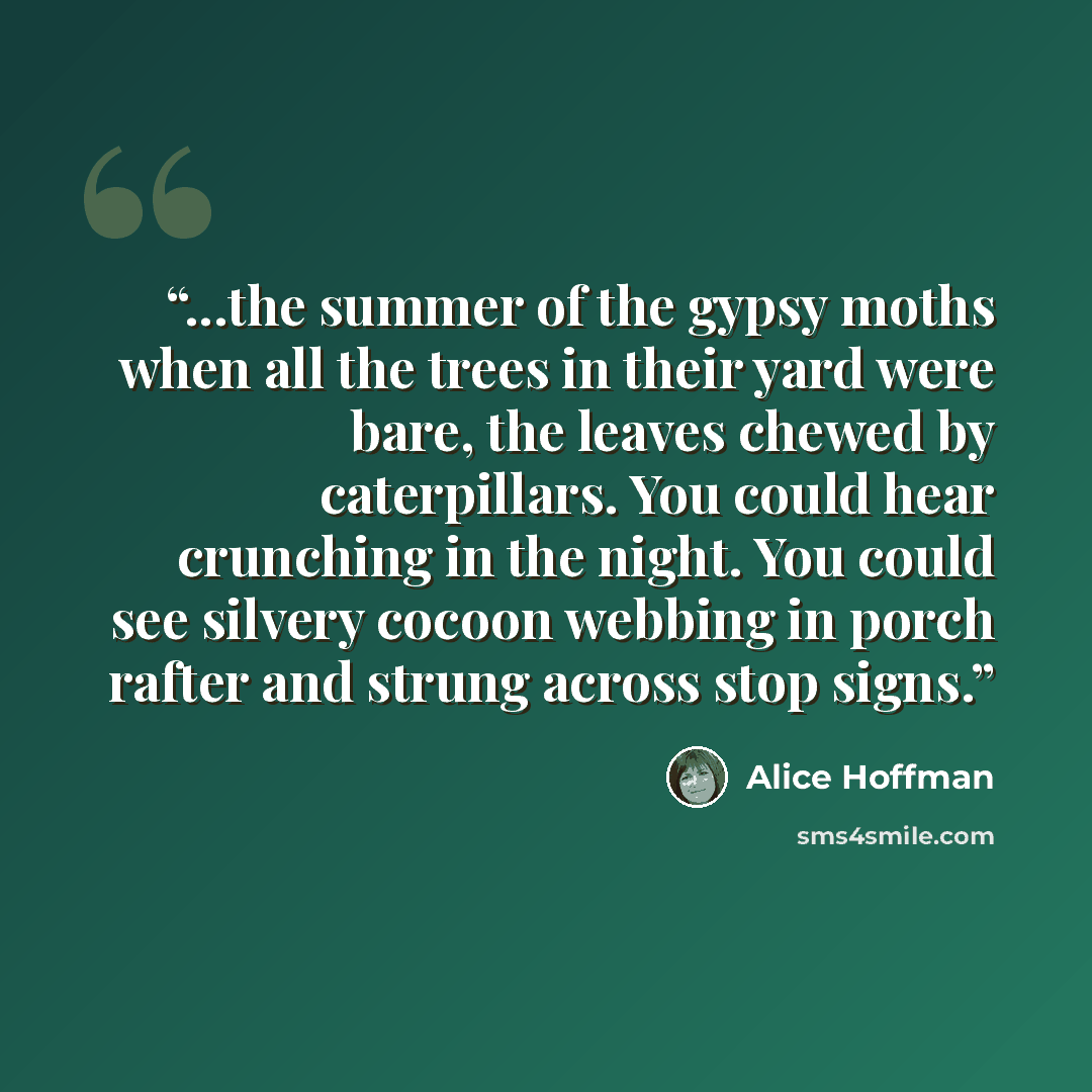 “...the summer of the gypsy moths when all the trees in their yard were bare, the leaves chewed by caterpillars. You could hear crunching in the night. You could see silvery cocoon webbing in porch rafter and strung across stop signs.” quote by Alice Hoffman