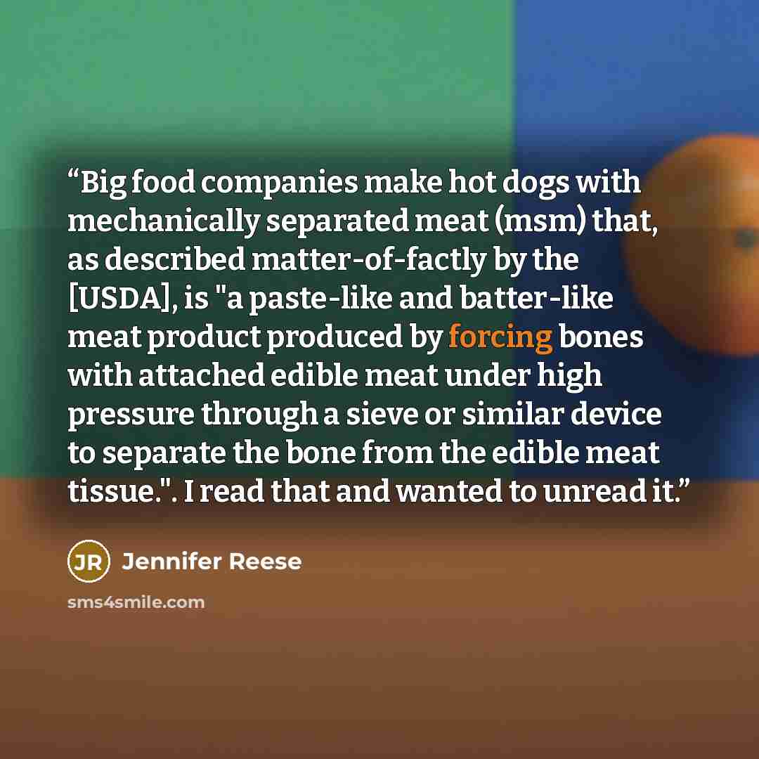 “Big food companies make hot dogs with mechanically separated meat (msm) that, as described matter-of-factly by the [USDA], is "a paste-like and batter-like meat product produced by forcing bones with attached edible meat under high pressure through a sieve or similar device to separate the bone…” quote by Jennifer Reese