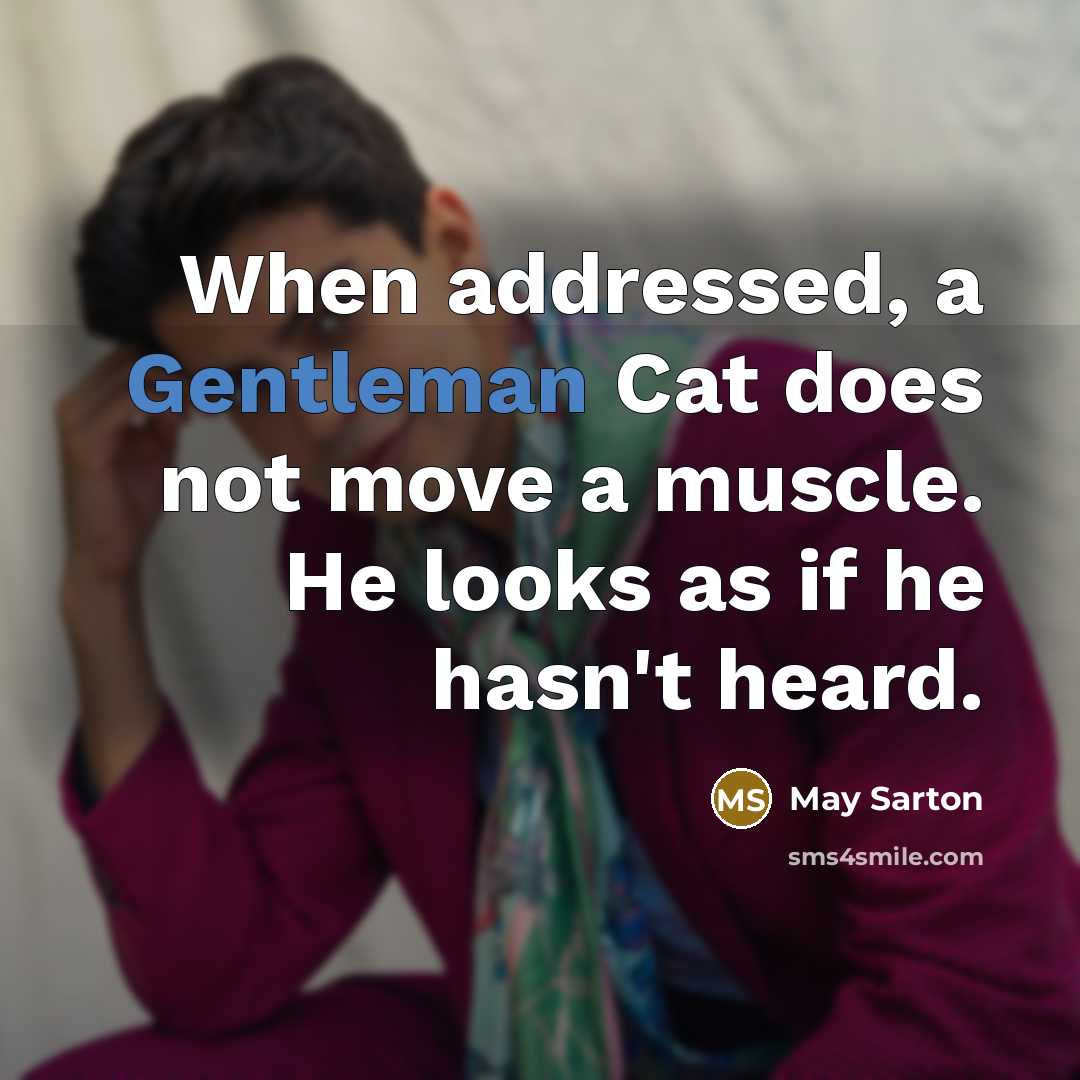 “When addressed, a Gentleman Cat does not move a muscle. He looks as if he hasn't heard.” quote by May Sarton
