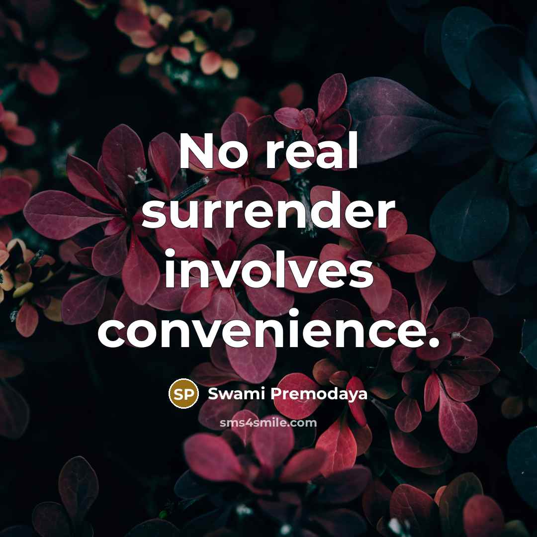 “No real surrender involves convenience.” quote by Swami Premodaya