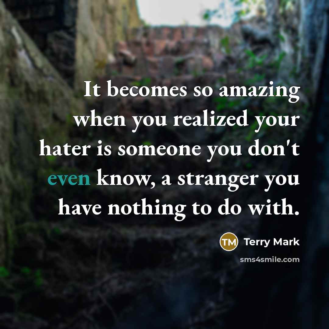 “It becomes so amazing when you realized your hater is someone you don't even know, a stranger you have nothing to do with.” quote by Terry Mark