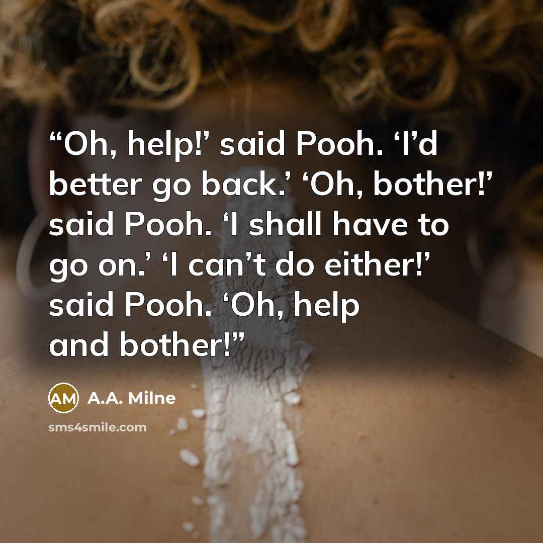 “Oh, help!’ said Pooh. ‘I’d better go back.’ ‘Oh, bother!’ said Pooh. ‘I shall have to go on.’ ‘I can’t do either!’ said Pooh. ‘Oh, help and bother!” quote by A.A. Milne