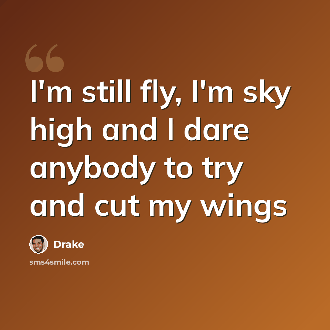 “I'm still fly, I'm sky high and I dare anybody to try and cut my wings” quote by Drake