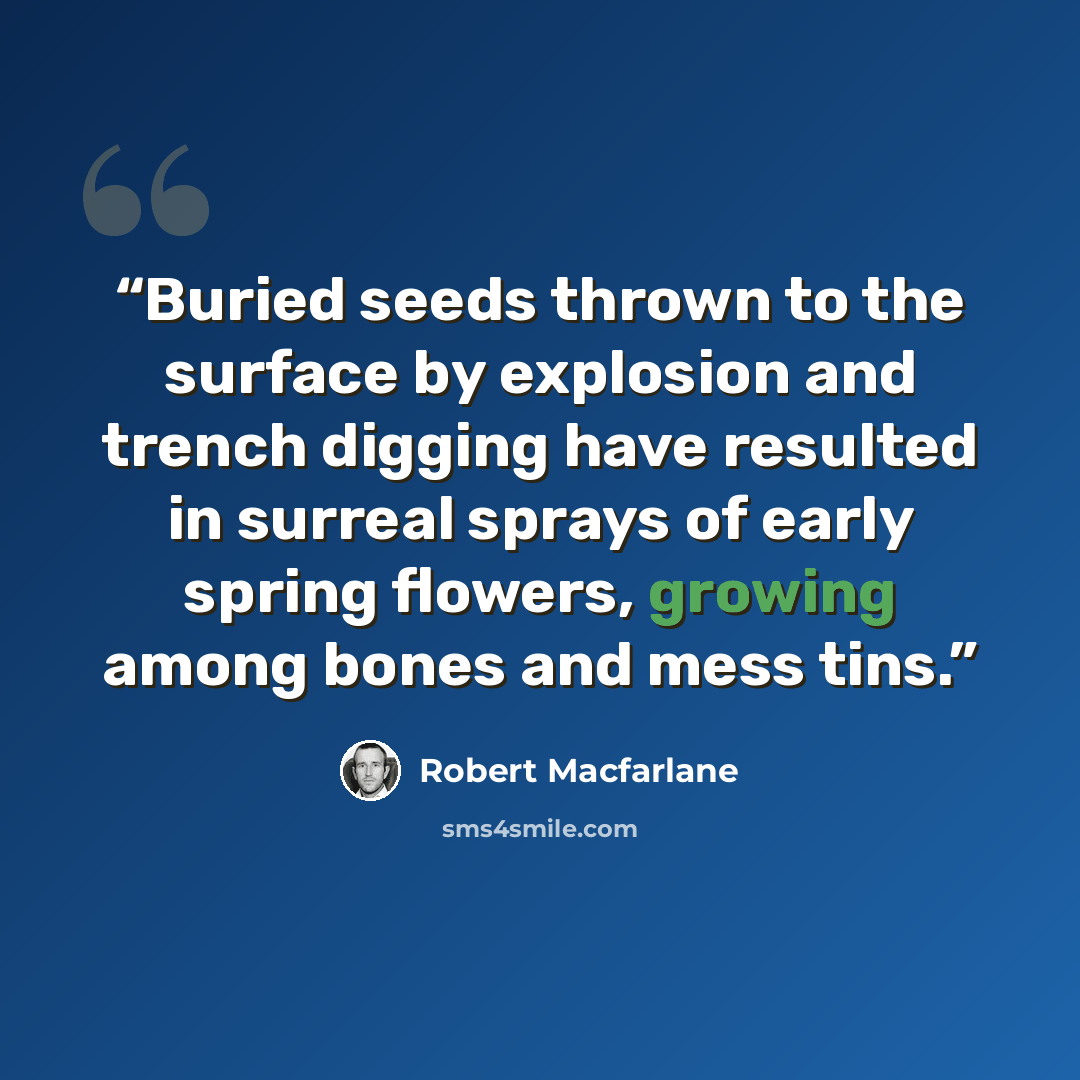 “Buried seeds thrown to the surface by explosion and trench digging have resulted in surreal sprays of early spring flowers, growing among bones and mess tins.” quote by Robert Macfarlane