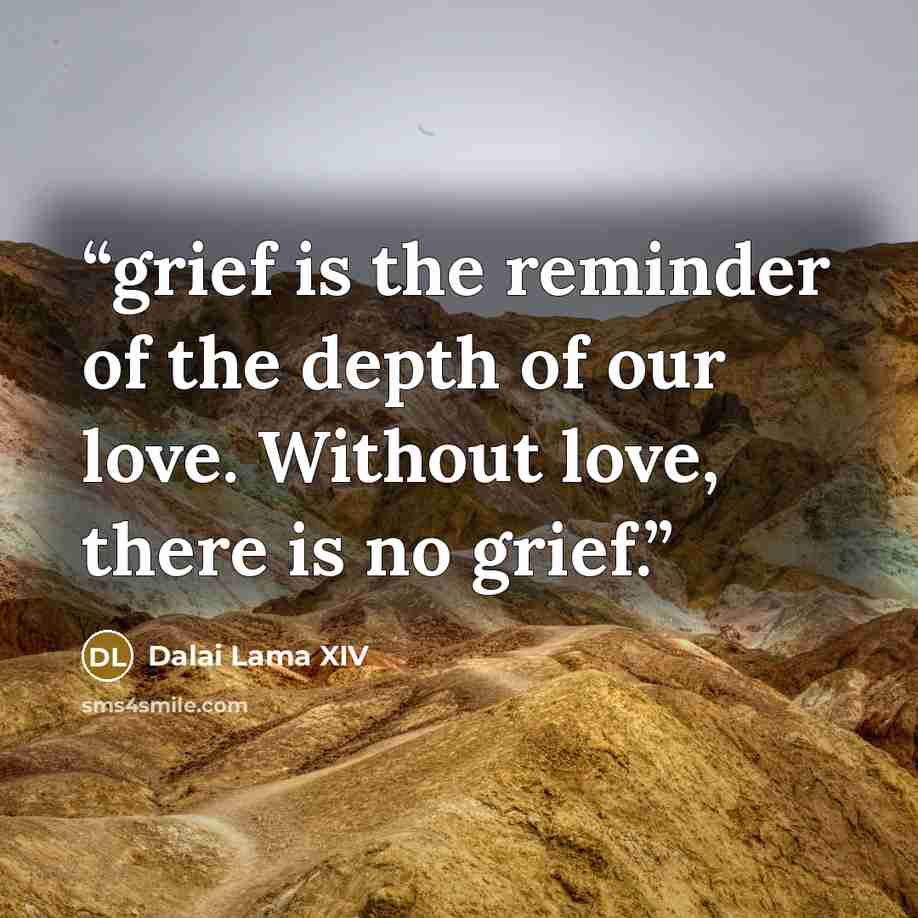 “grief is the reminder of the depth of our love. Without love, there is no grief.” quote by Dalai Lama XIV