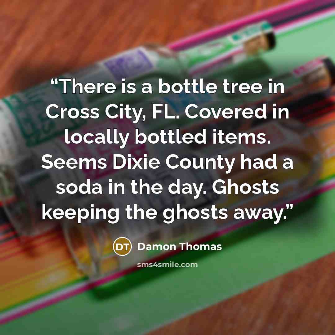 “There is a bottle tree in Cross City, FL. Covered in locally bottled items. Seems Dixie County had a soda in the day. Ghosts keeping the ghosts away.” quote by Damon Thomas