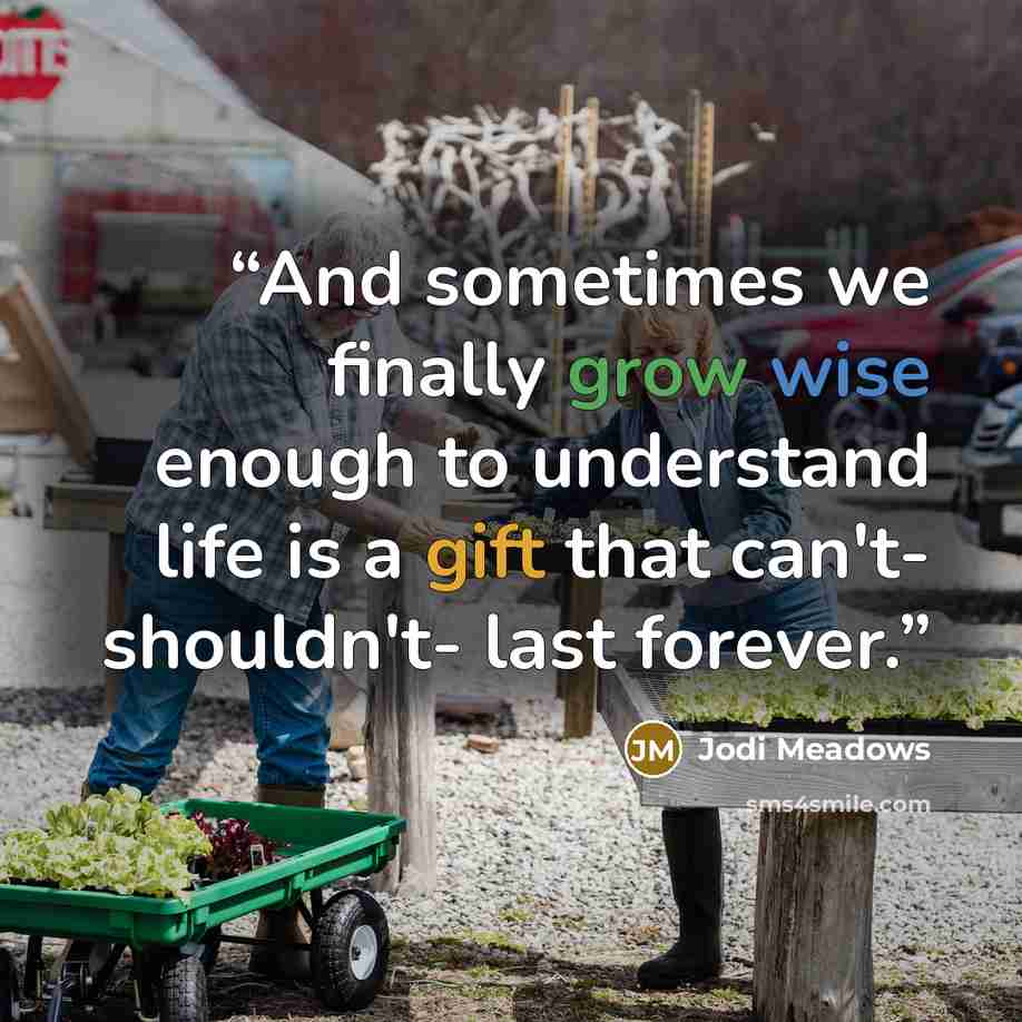 “And sometimes we finally grow wise enough to understand life is a gift that can't- shouldn't- last forever.” quote by Jodi Meadows