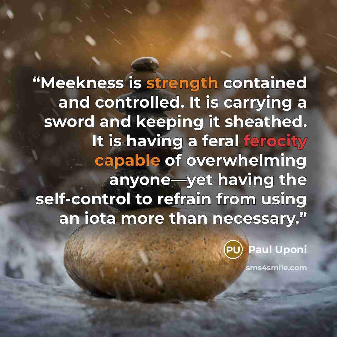 “Meekness is strength contained and controlled. It is carrying a sword and keeping it sheathed. It is having a feral ferocity capable of overwhelming anyone—yet having the self-control to refrain from using an iota more than necessary.” quote by Paul Uponi
