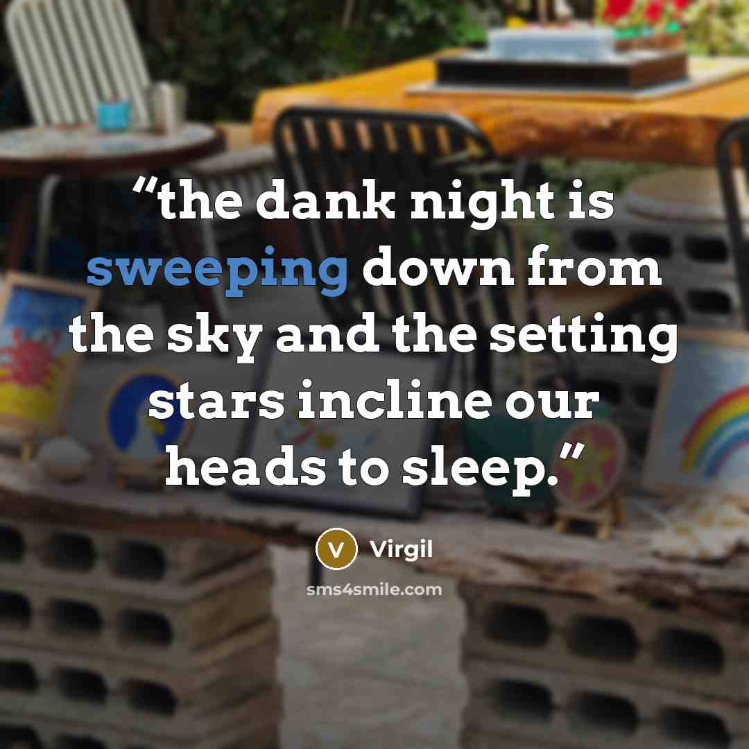 “the dank night is sweeping down from the sky and the setting stars incline our heads to sleep.” quote by Virgil