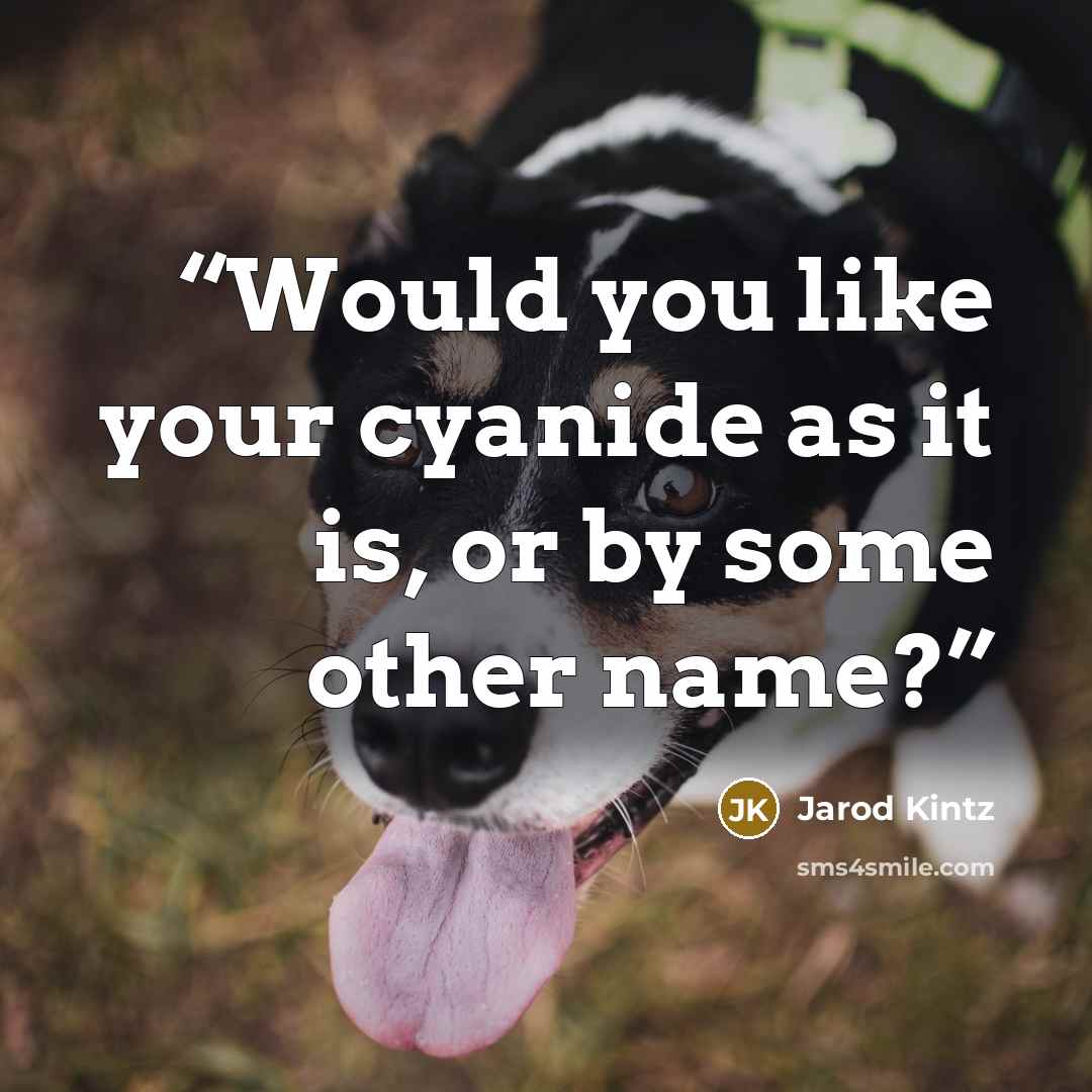 “Would you like your cyanide as it is, or by some other name?” quote by Jarod Kintz