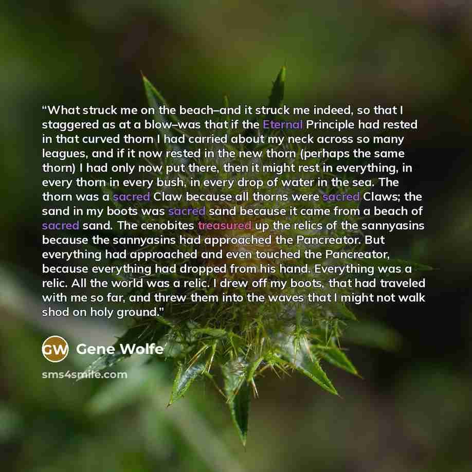 “What struck me on the beach–and it struck me indeed, so that I staggered as at a blow–was that if the Eternal Principle had rested in that curved thorn I had carried about my neck across so many leagues, and if it now rested in the new thorn (perhaps the same thorn) I had only now put there, then…” quote by Gene Wolfe