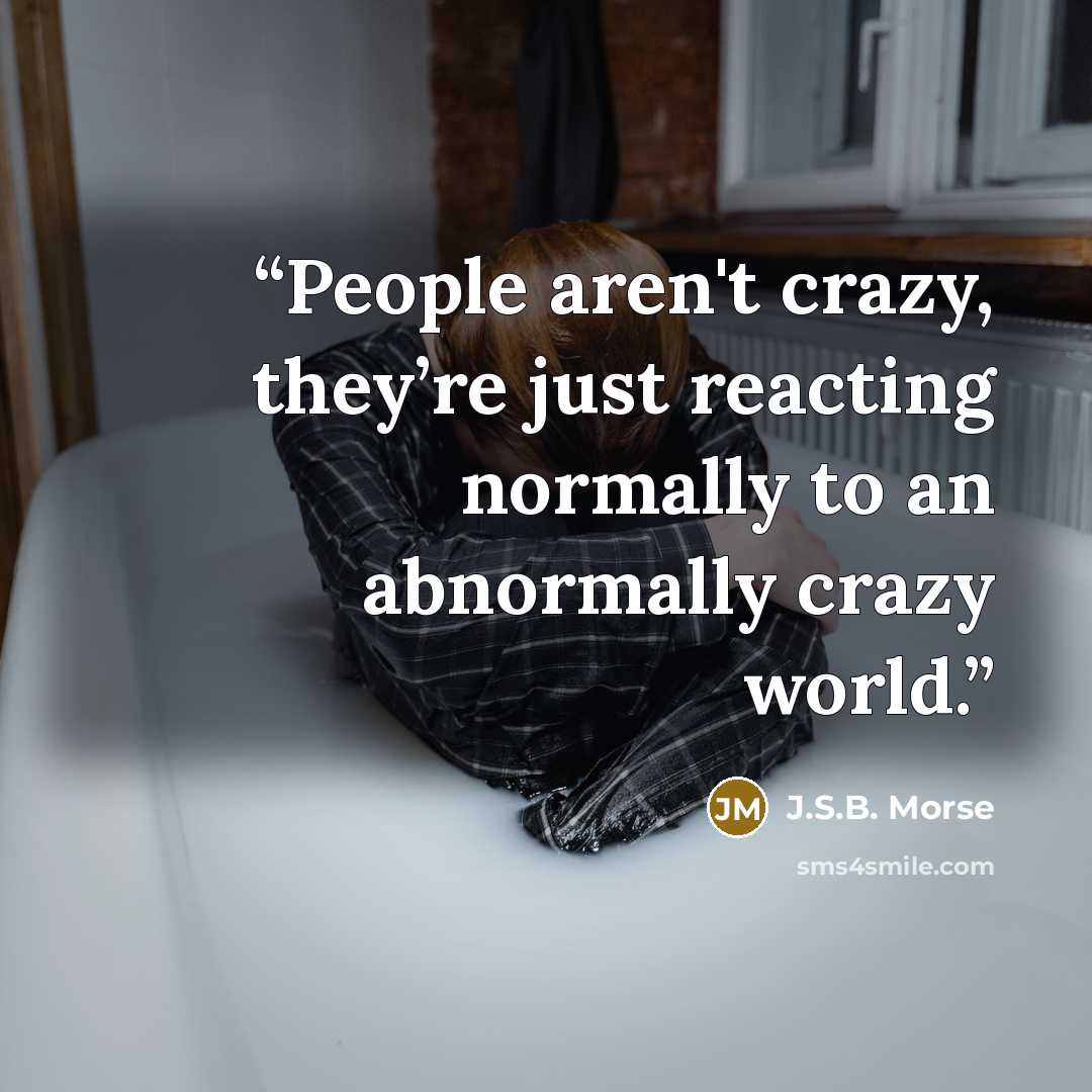 “People aren't crazy, they’re just reacting normally to an abnormally crazy world.” quote by J.S.B. Morse