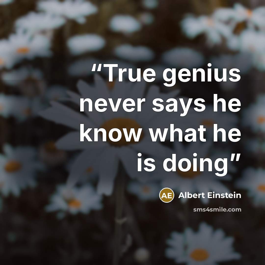 “True genius never says he know what he is doing” quote by Albert Einstein