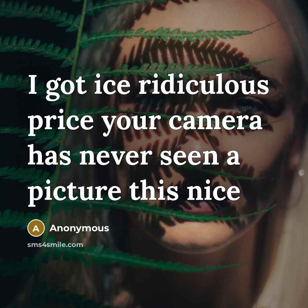 “I got ice ridiculous price your camera has never seen a picture this nice” quote by Anonymous
