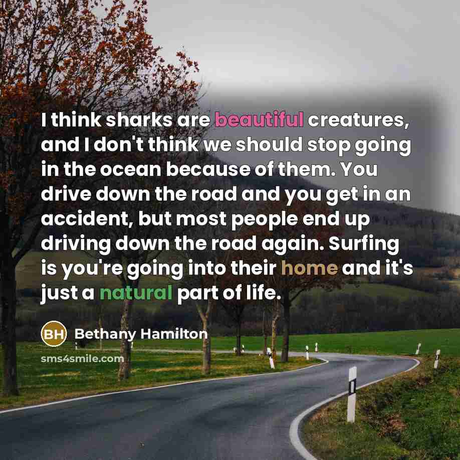 “I think sharks are beautiful creatures, and I don't think we should stop going in the ocean because of them. You drive down the road and you get in an accident, but most people end up driving down the road again. Surfing is you're going into their home and it's just a natural part of life.” quote by Bethany Hamilton