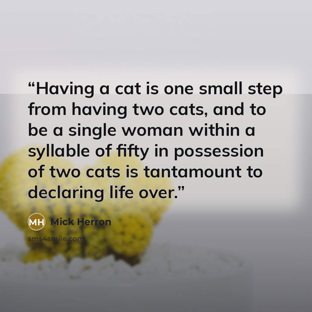 “Having a cat is one small step from having two cats, and to be a single woman within a syllable of fifty in possession of two cats is tantamount to declaring life over.” quote by Mick Herron