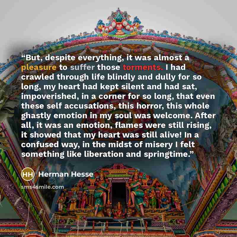 “But, despite everything, it was almost a pleasure to suffer those torments. I had crawled through life blindly and dully for so long, my heart had kept silent and had sat, impoverished, in a corner for so long, that even these self accusations, this horror, this whole ghastly emotion in my soul…” quote by Herman Hesse