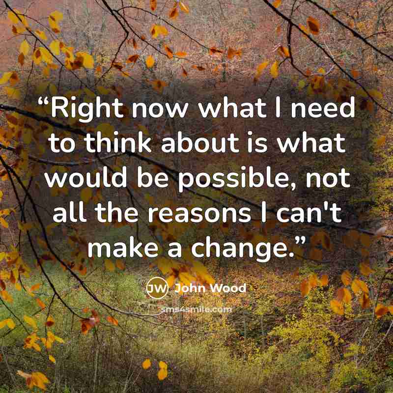 “Right now what I need to think about is what would be possible, not all the reasons I can't make a change.” quote by John Wood