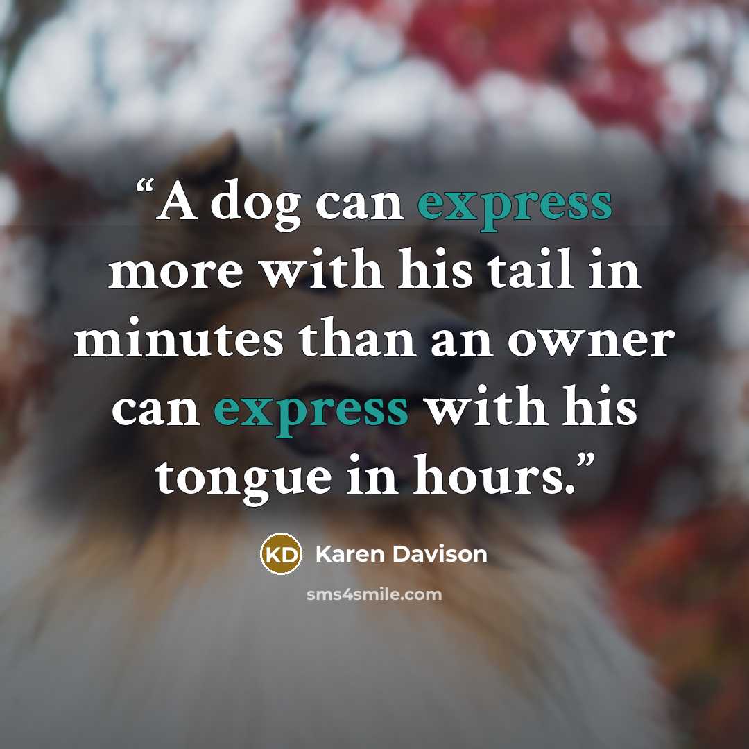 “A dog can express more with his tail in minutes than an owner can express with his tongue in hours.” quote by Karen Davison