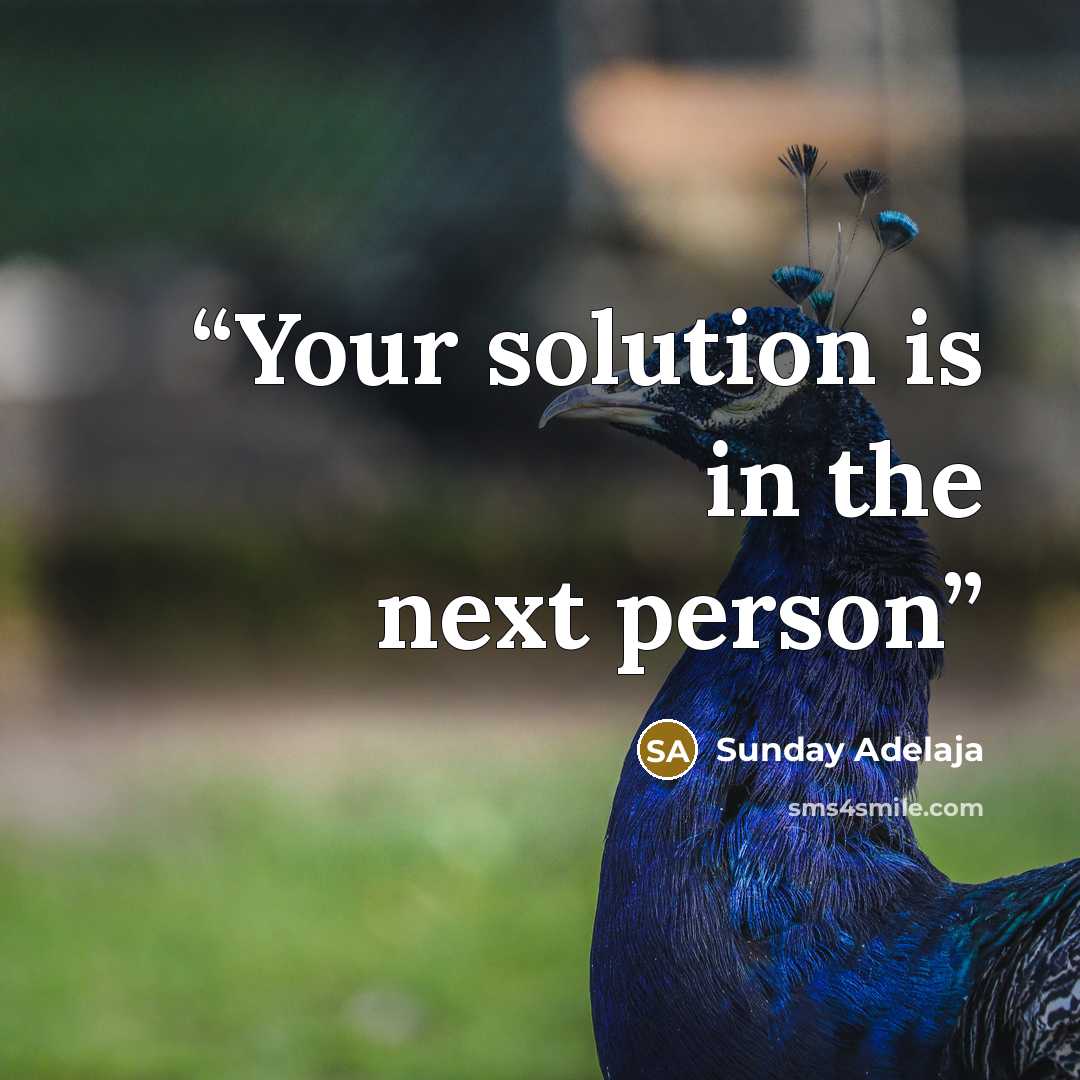 “Your solution is in the next person” quote by Sunday Adelaja